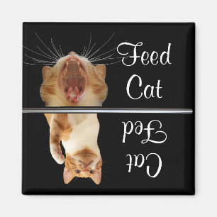 Imán de gato divertido alimentado divertido lindo