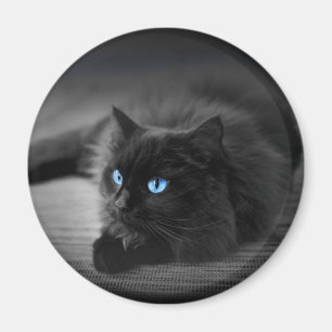 Imán de gato ojos azul medianoche - Nevera redonda