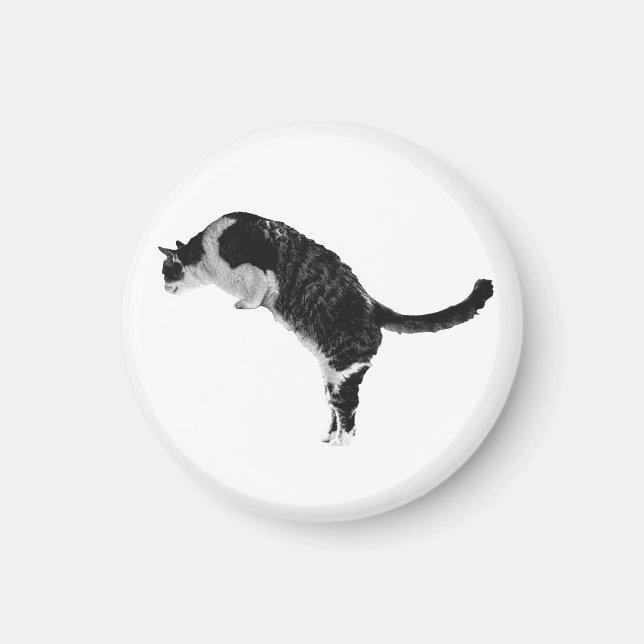 Imán de gato texturizado (Frente)