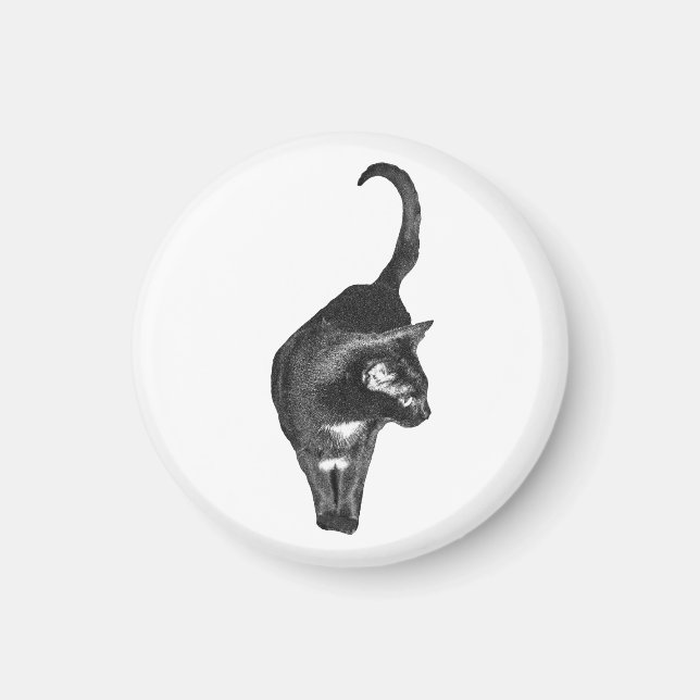 Imán de Gato Tranquilo (Frente)