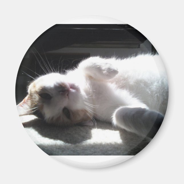 imán de gatos (Frente)