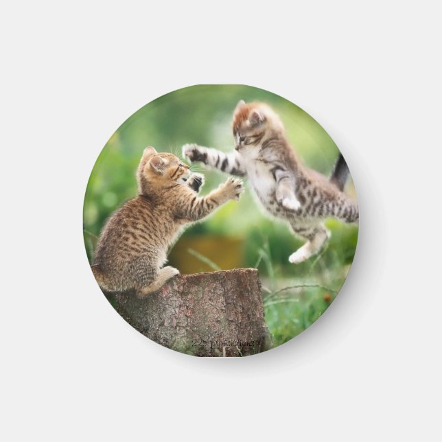 imán de gatos (Frente)