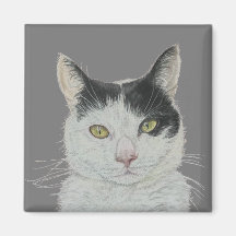 Imán de gatos divertidos