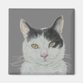 Imán de gatos divertidos