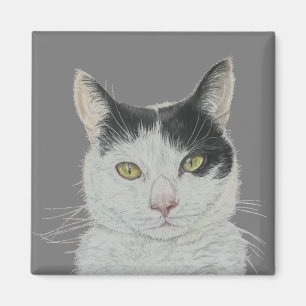 Imán de gatos divertidos