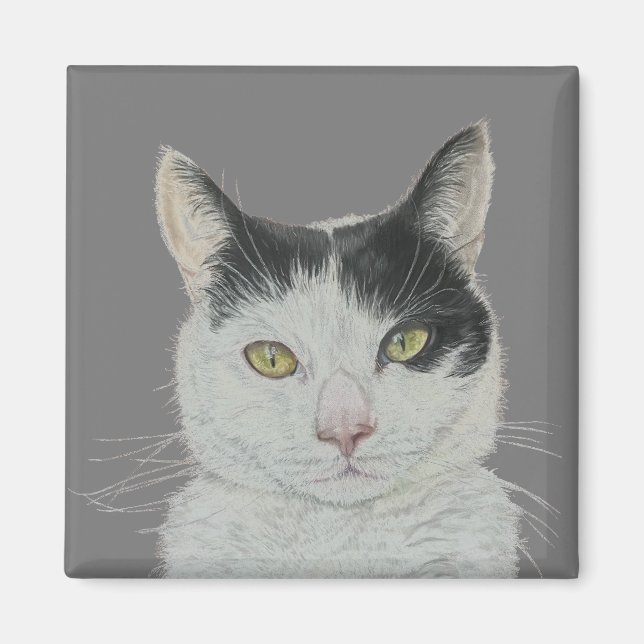 Imán de gatos divertidos (Frente)