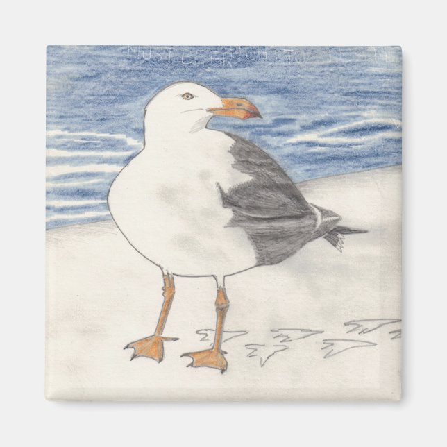imán de GAVIOTA (cuadrado) (Frente)