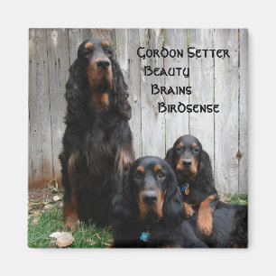 Imán de Generaciones de Gordon Setter