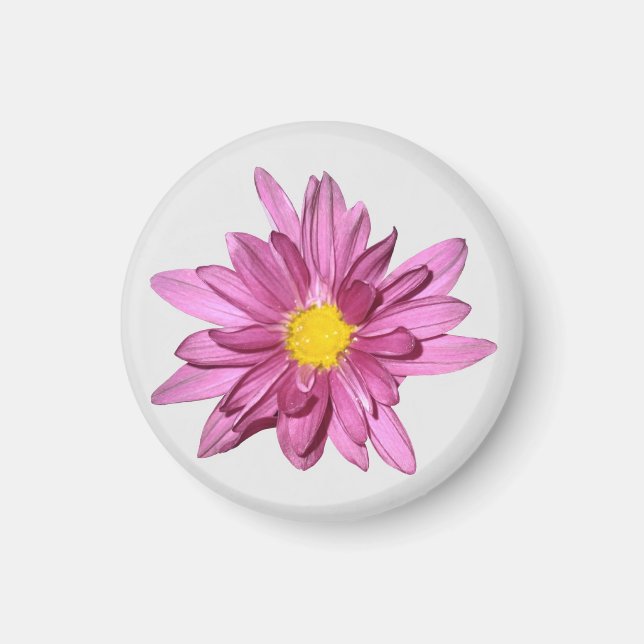 Imán de Gerbera Purple Ligera (Frente)