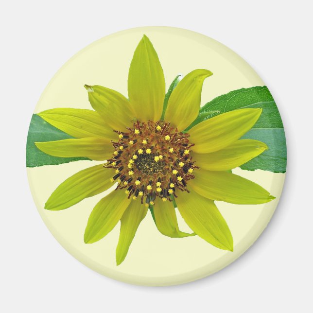 Imán de girasol (Frente)