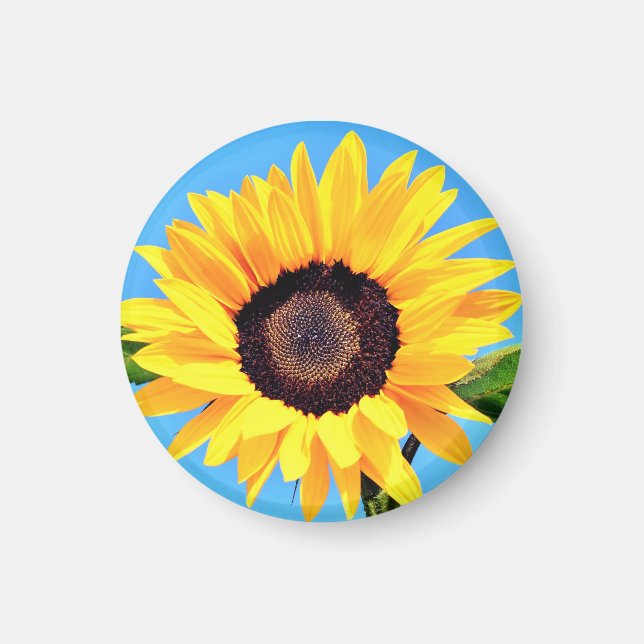 Imán de girasol (Frente)