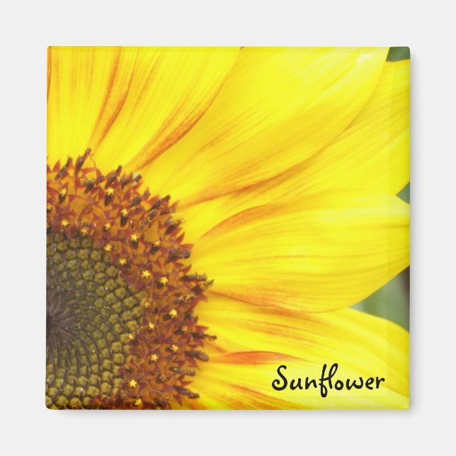 Imán de girasol (Frente)
