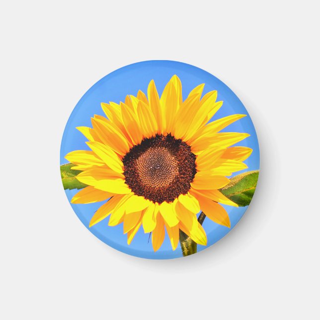 Imán de girasol amarillo (Frente)