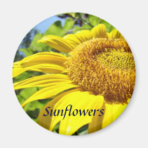 Imán de girasol Imanes Florales de Verano Girasole