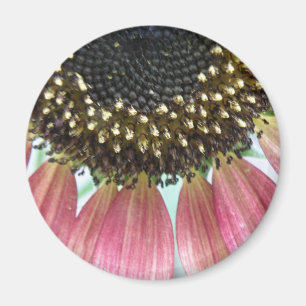 Imán de girasol rosa