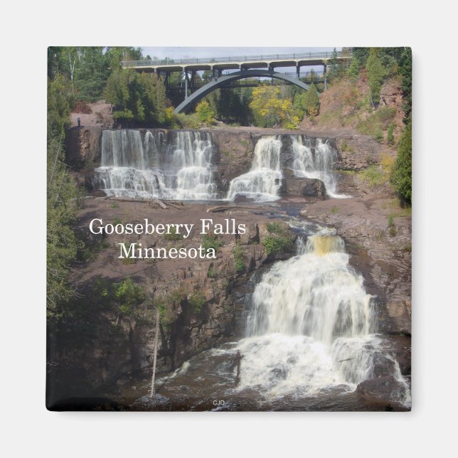 imán de Gooseberry Falls (Frente)
