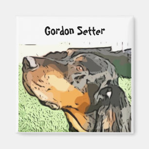Imán de Gordon Setter