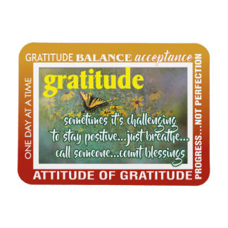 imán de gratitud inspiración