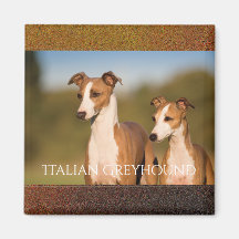 imán de Greyhounds italiano