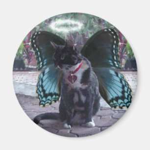 Imán de hadas de Kelly del ángel del gatito