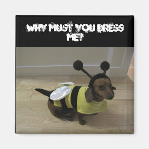 Imán de Halloween del perro de Weiner