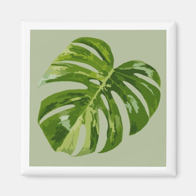 Imán de hoja de Monstera Albo Hero — Rara variegac (Frente)