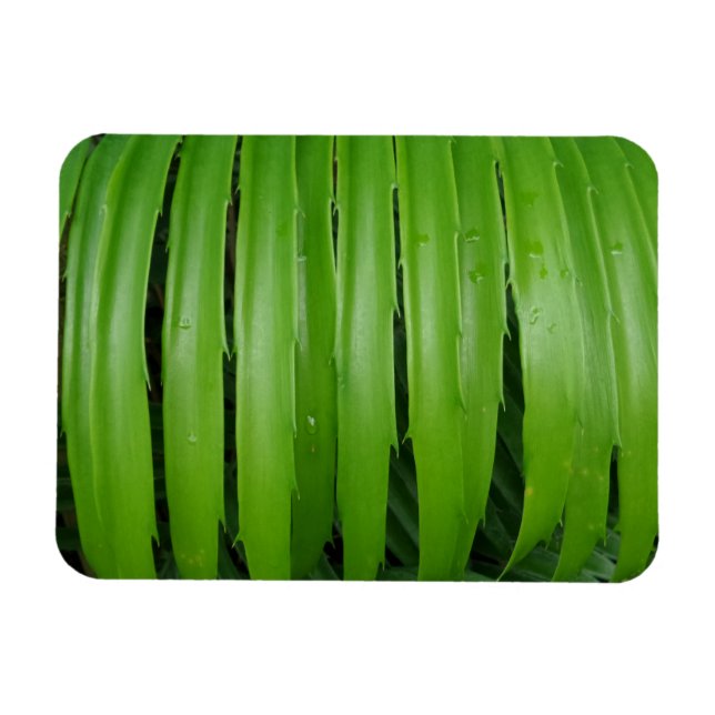 Imán de hojas verdes de 3"x4" (Horizontal)