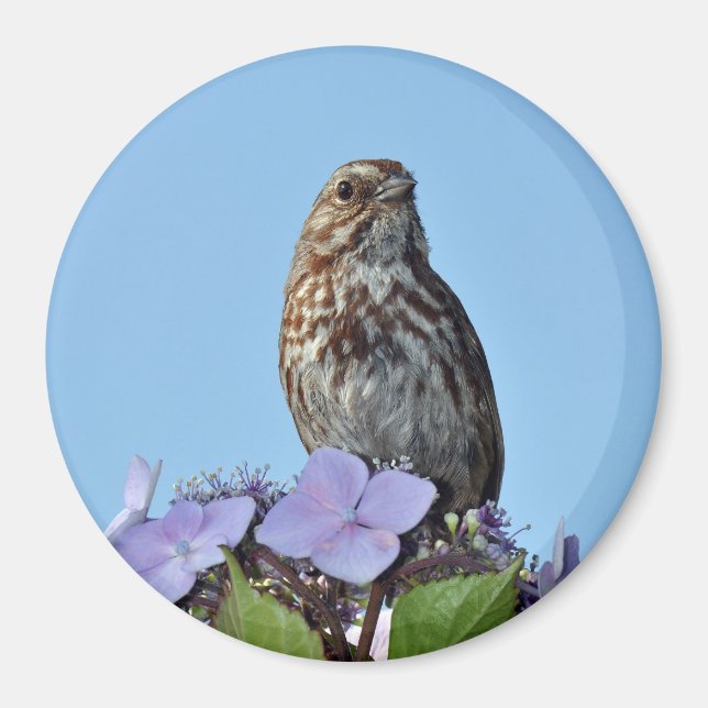 Imán de impresión de pajarito marrón (Frente)