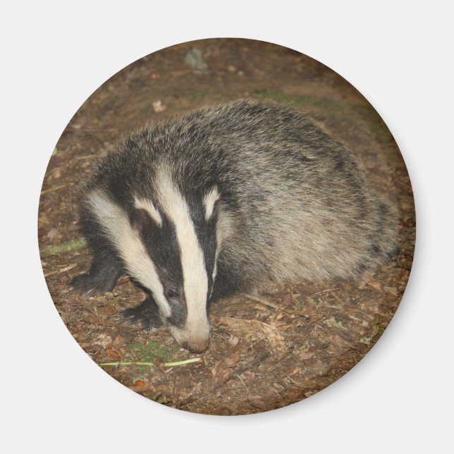 imán de insignia de Brockwatch (Frente)