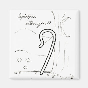 Imán de Interrogans de la Leptospira