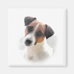 Imán de Jack Russell
