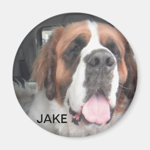 IMÁN DE JAKE