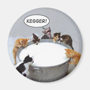 Imán de Kegger del gato