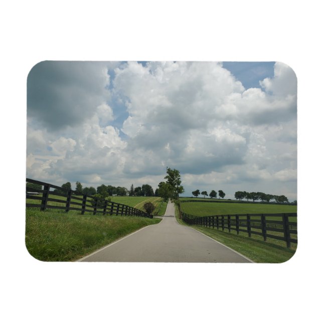 imán de Kentucky Bluegrass (Horizontal)