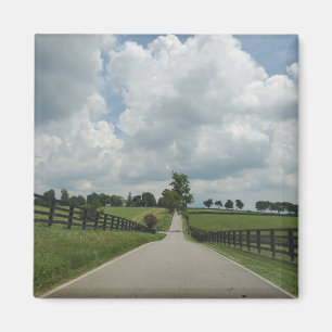 imán de Kentucky Bluegrass