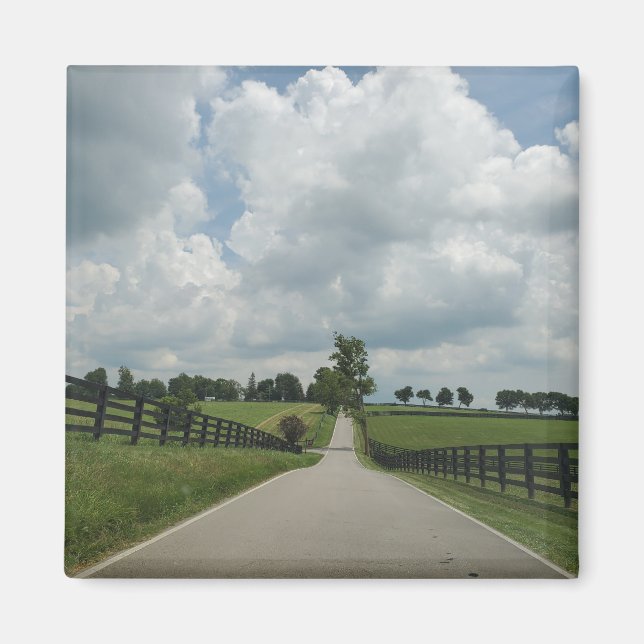 imán de Kentucky Bluegrass (Frente)