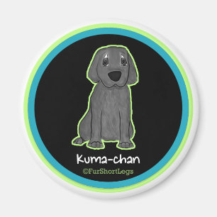 imán de Kuma-chan