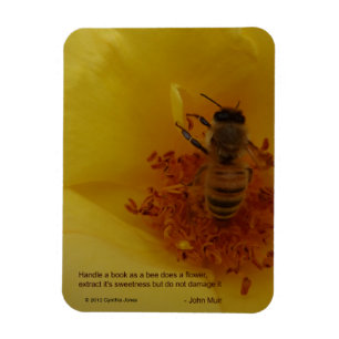 Imán de la abeja