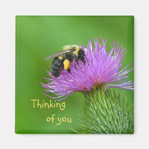 Imán de la abeja y del cardo