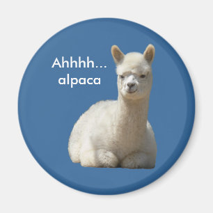 Imán de la alpaca de Ahhhh