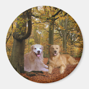 Imán de la amistad del golden retriever