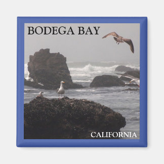 Imán de la Bahía de Bodega