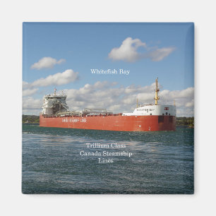 imán de la bahía de Whitefish