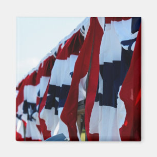 Imán de la bandera americana
