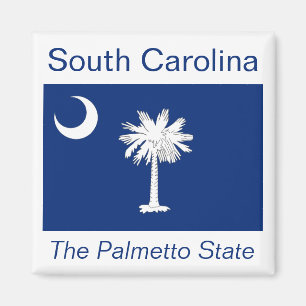 Imán de la bandera de Carolina del Sur