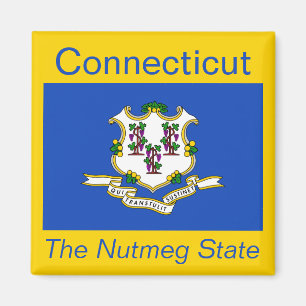Imán de la bandera de Connecticut