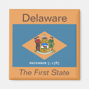 Imán de la bandera de Delaware