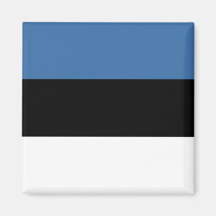 Imán de la bandera de Estonia