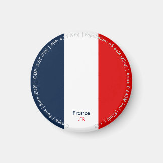 Imán de la bandera de Francia