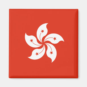 Imán de la bandera de Hong Kong